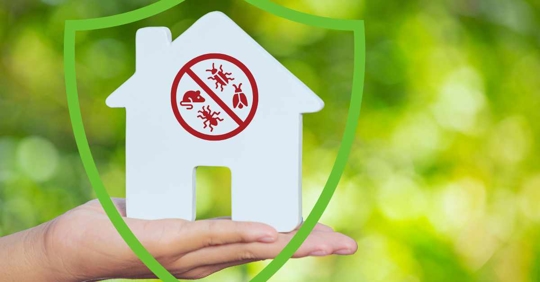 protected, pest-free home representation