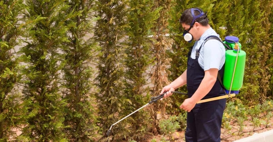 pest control technician spraying outdoors