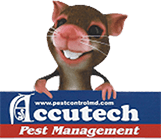 Accutech Pest Management