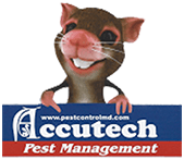Accutech Pest Management